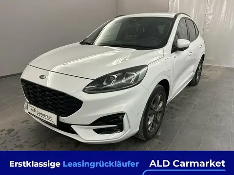 Used FORD KUGA Hybrid 2021 Ad 