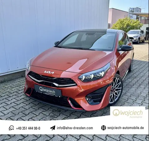 Annonce KIA PROCEED Essence 2024 d'occasion 