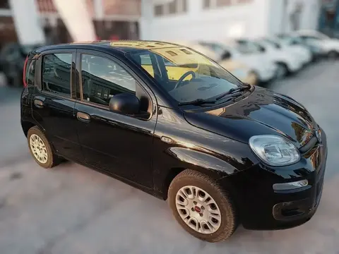 Used FIAT PANDA Diesel 2017 Ad 