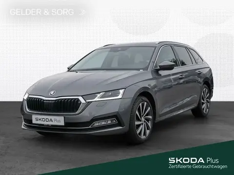 Annonce SKODA OCTAVIA Diesel 2023 d'occasion 