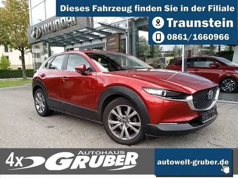 Used MAZDA CX-30 Petrol 2020 Ad Germany