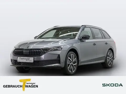 Annonce SKODA OCTAVIA Essence 2024 d'occasion 