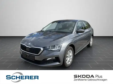 Used SKODA SCALA Petrol 2023 Ad 