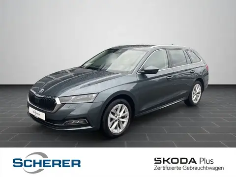 Used SKODA OCTAVIA Diesel 2022 Ad 