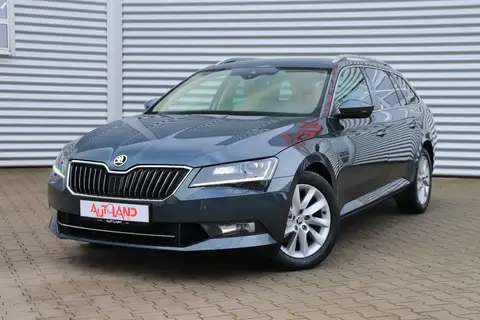 Annonce SKODA SUPERB Diesel 2019 d'occasion 