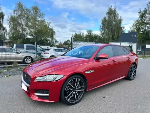 Used JAGUAR XF Diesel 2017 Ad 