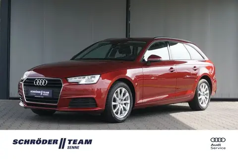 Annonce AUDI A4 Diesel 2019 d'occasion 