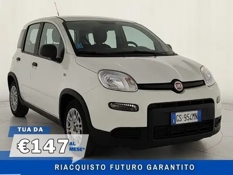 Annonce FIAT PANDA Hybride 2024 d'occasion 