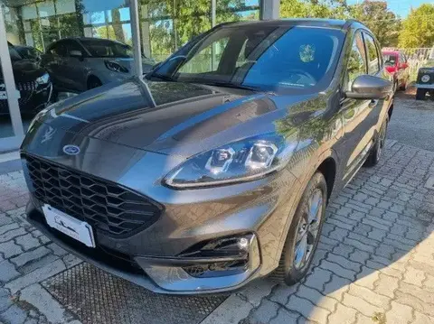 Annonce FORD KUGA Hybride 2023 d'occasion 