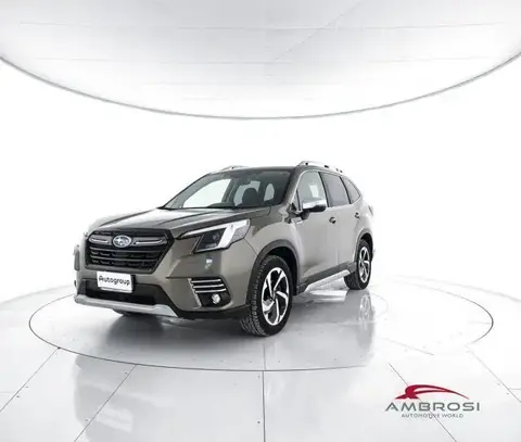 Used SUBARU FORESTER Hybrid 2022 Ad 