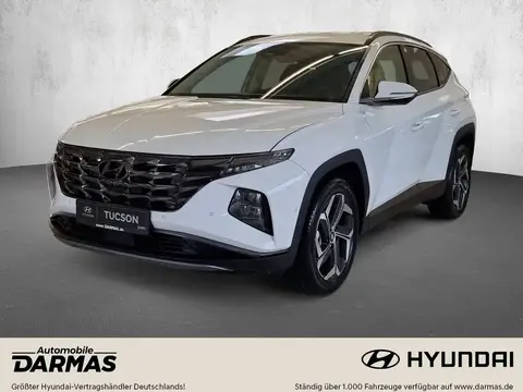 Used HYUNDAI TUCSON Petrol 2024 Ad 