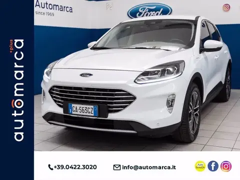 Used FORD KUGA Not specified 2020 Ad 