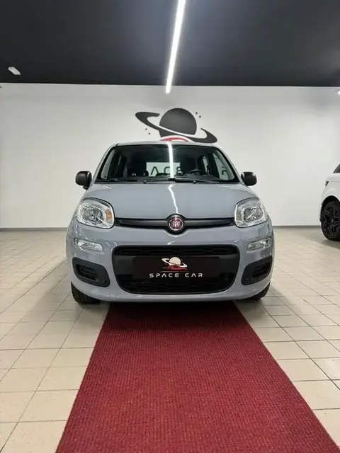 Used FIAT PANDA Petrol 2020 Ad 