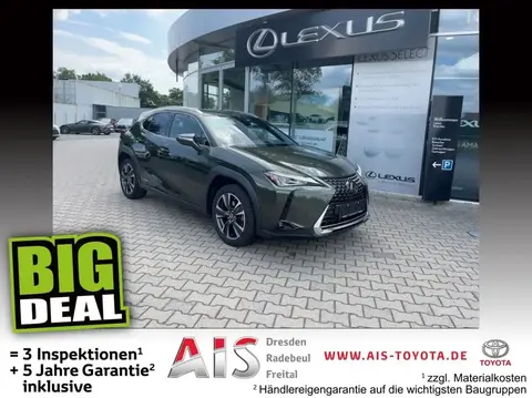 Used LEXUS UX Hybrid 2021 Ad 