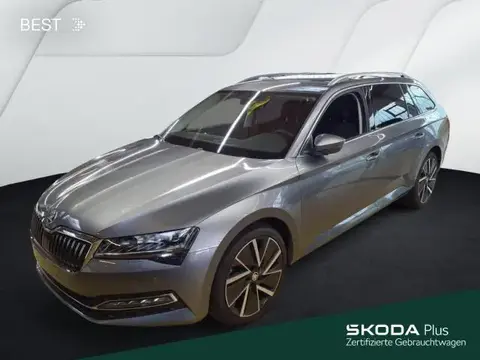 Annonce SKODA SUPERB Diesel 2024 d'occasion 