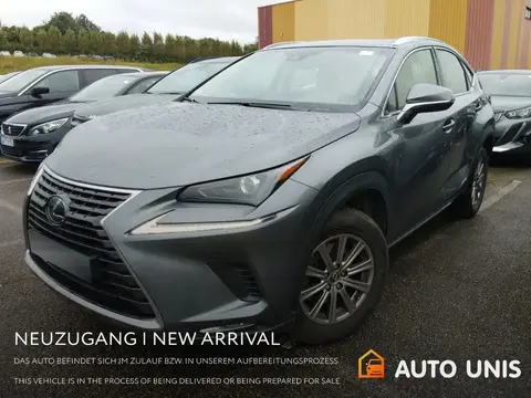 Used LEXUS NX Hybrid 2020 Ad 