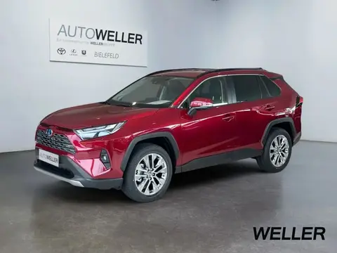 Used TOYOTA RAV4 Hybrid 2024 Ad 