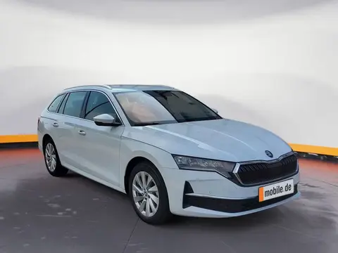 Annonce SKODA OCTAVIA Diesel 2024 d'occasion 