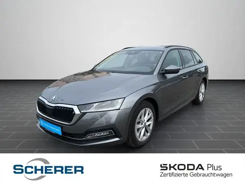 Annonce SKODA OCTAVIA Essence 2023 d'occasion 