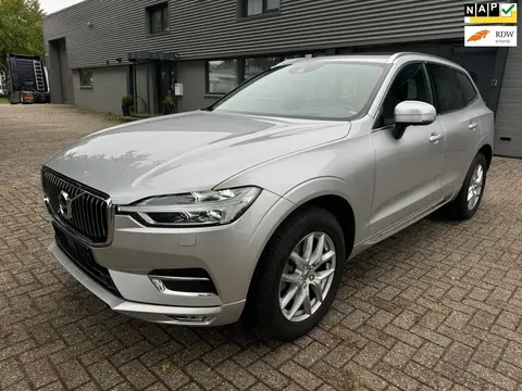 Annonce VOLVO XC60 Essence 2020 d'occasion 