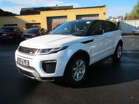 Used LAND ROVER RANGE ROVER EVOQUE Diesel 2016 Ad 