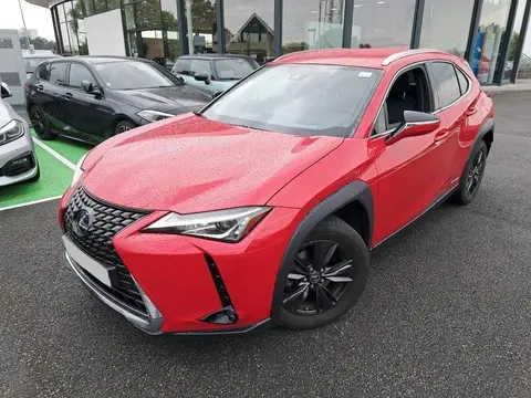 Used LEXUS UX Hybrid 2020 Ad 