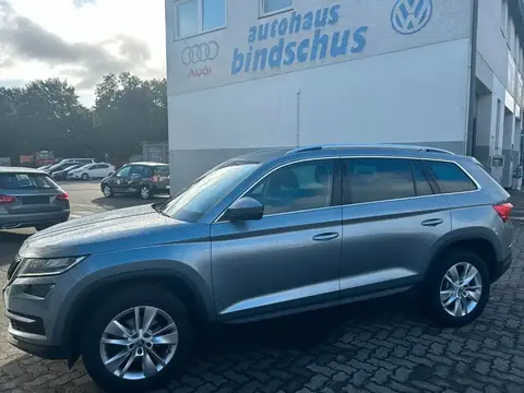 Annonce SKODA KODIAQ Diesel 2020 d'occasion 