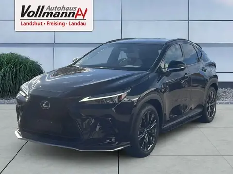 Used LEXUS NX Hybrid 2023 Ad 