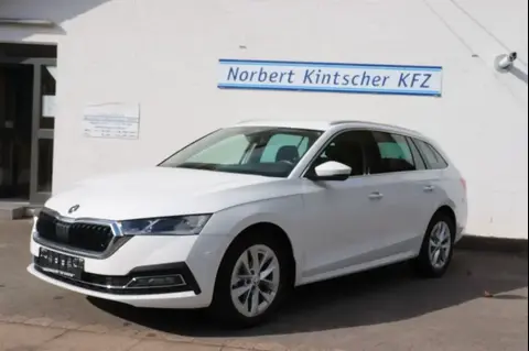 Used SKODA OCTAVIA Petrol 2024 Ad 