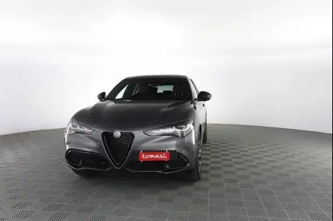 Annonce ALFA ROMEO STELVIO Diesel 2024 d'occasion 