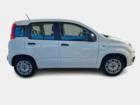 Used FIAT PANDA Petrol 2020 Ad 