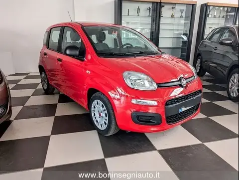 Used FIAT PANDA Hybrid 2022 Ad 