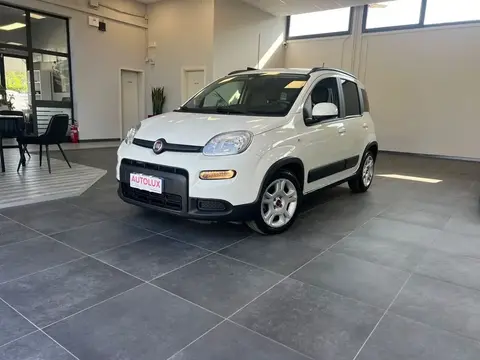 Used FIAT PANDA Hybrid 2022 Ad 