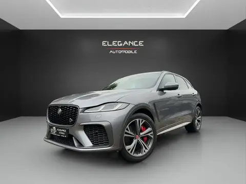 Used JAGUAR F-PACE Petrol 2021 Ad 