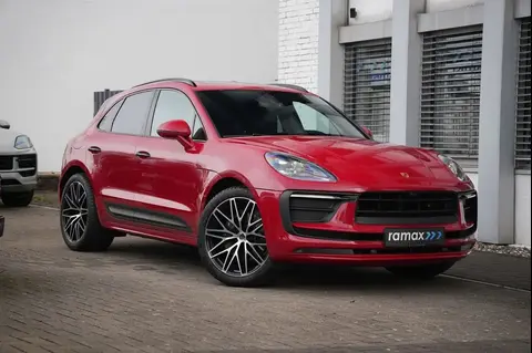 Used PORSCHE MACAN Petrol 2024 Ad 