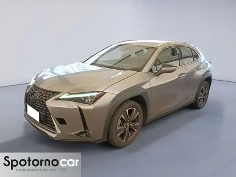 Used LEXUS UX Hybrid 2019 Ad 