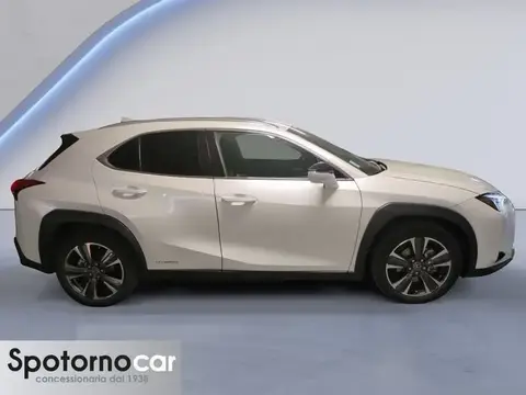 Used LEXUS UX Hybrid 2020 Ad 