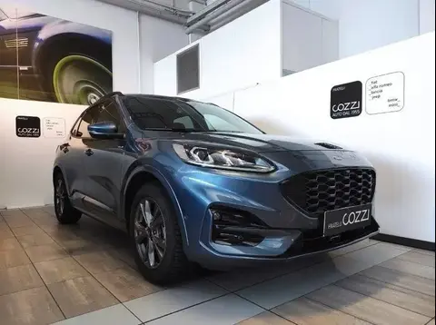 Annonce FORD KUGA Hybride 2023 d'occasion 