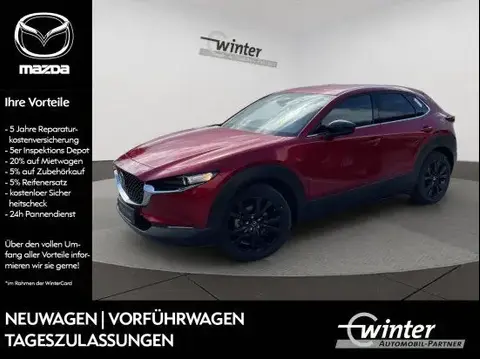 Used MAZDA CX-30 Petrol 2024 Ad Germany