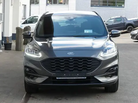 Used FORD KUGA Hybrid 2023 Ad 