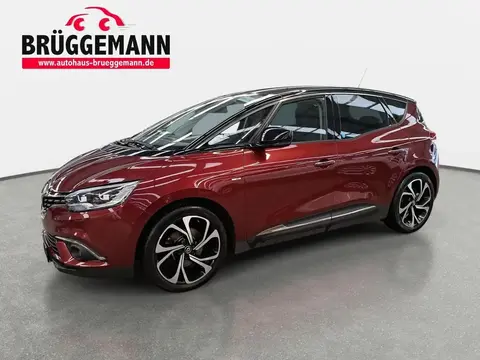 Used RENAULT SCENIC Petrol 2020 Ad 