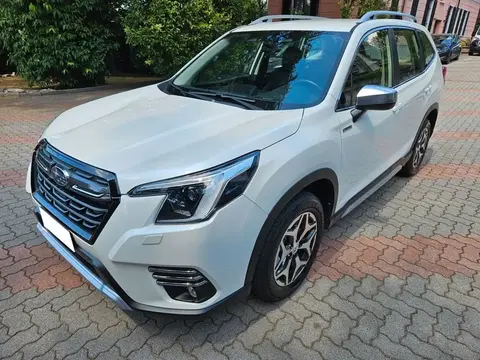 Annonce SUBARU FORESTER Hybride 2024 d'occasion 