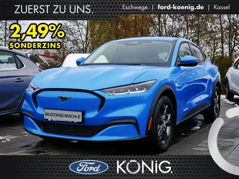 Used FORD MUSTANG Not specified 2022 Ad 