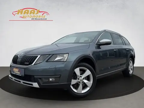 Annonce SKODA OCTAVIA Diesel 2018 d'occasion 