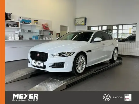 Used JAGUAR XE Petrol 2017 Ad 