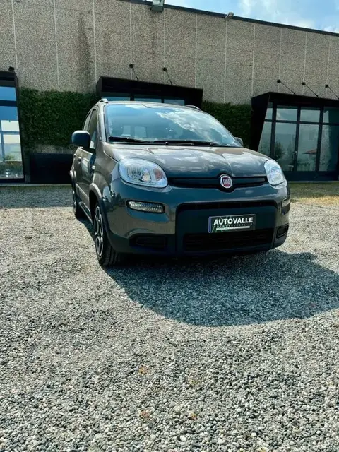 Annonce FIAT PANDA Hybride 2022 d'occasion 