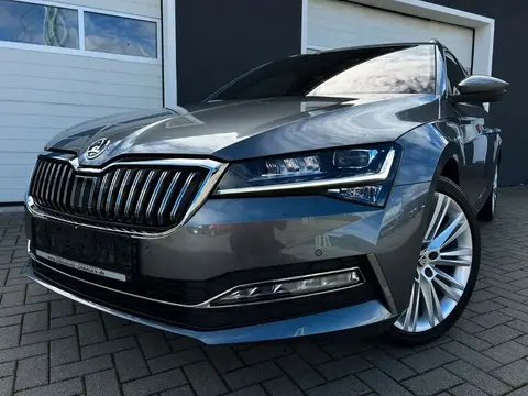 Annonce SKODA SUPERB Diesel 2024 d'occasion 