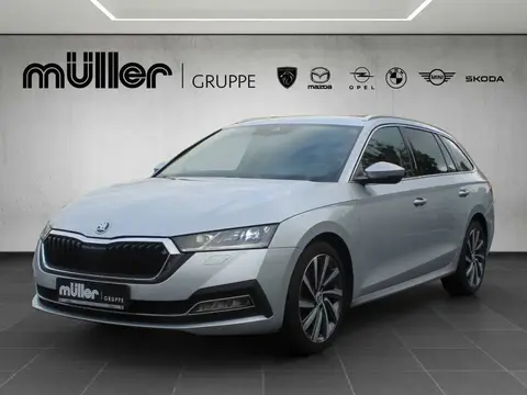 Annonce SKODA OCTAVIA Diesel 2020 d'occasion 