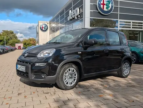 Used FIAT PANDA Petrol 2024 Ad 