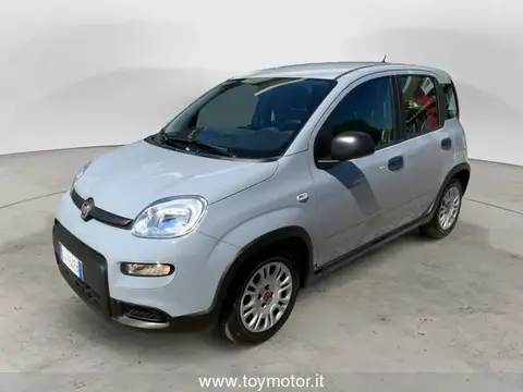 Annonce FIAT PANDA Hybride 2022 d'occasion 